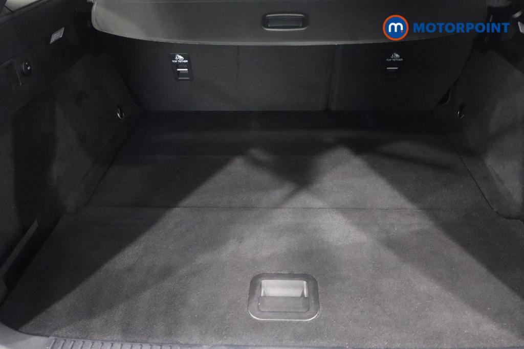 Used Ford Focus 2024 for sale - 77962662: Photo 14