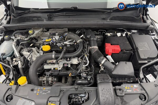 Used Renault Clio 2024 for sale - 76235058: Photo 37