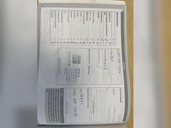 Used SEAT Ibiza 2015 for sale - 78334558: Photo