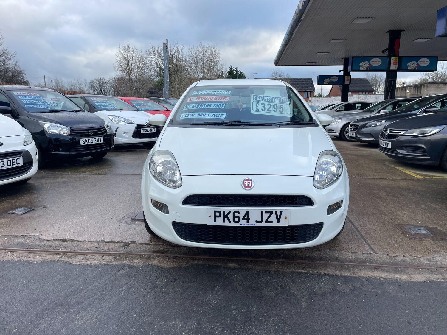 Used Fiat Punto for sale - 77490041: Photo 13