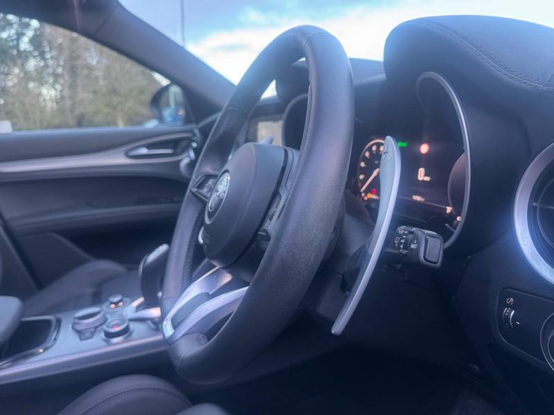 Used Alfa Romeo Stelvio 2024 for sale - 77619915: Photo 13