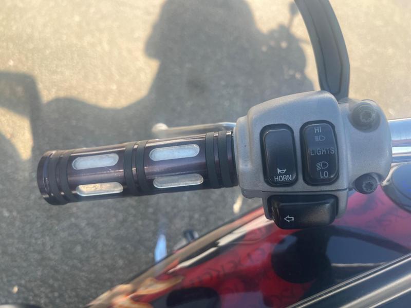 Harley-Davidson Softail