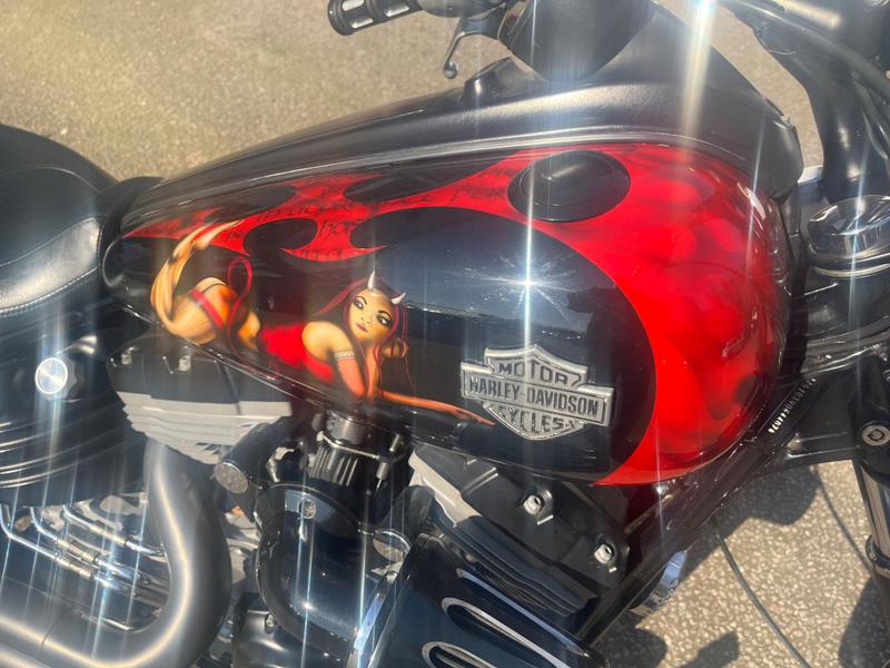 Harley-Davidson Softail