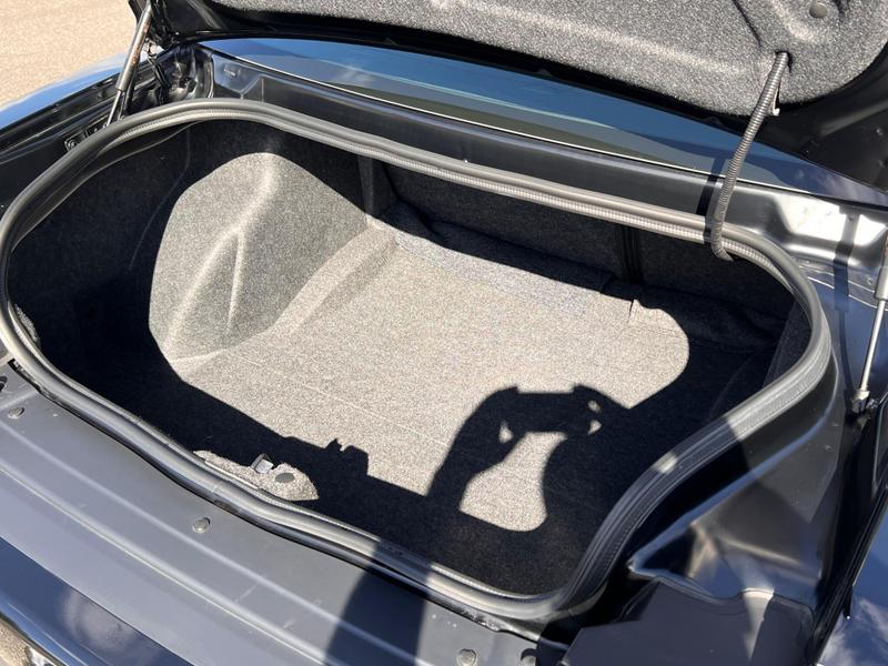 Used Dodge Challenger for sale - 77918687: Photo 11