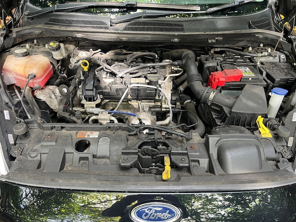 Used Ford Fiesta 2015 for sale - 76107029: Photo 11