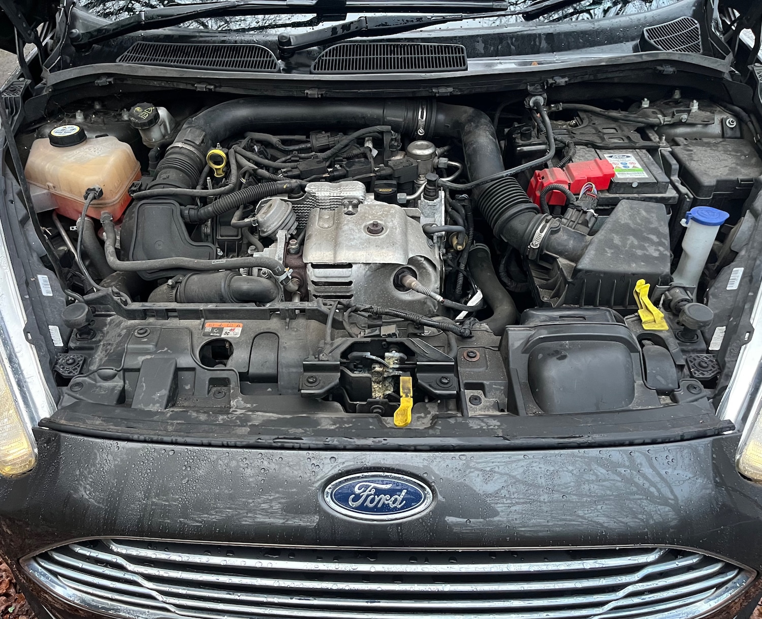 Used Ford Fiesta 2016 for sale - 77147921: Photo 10