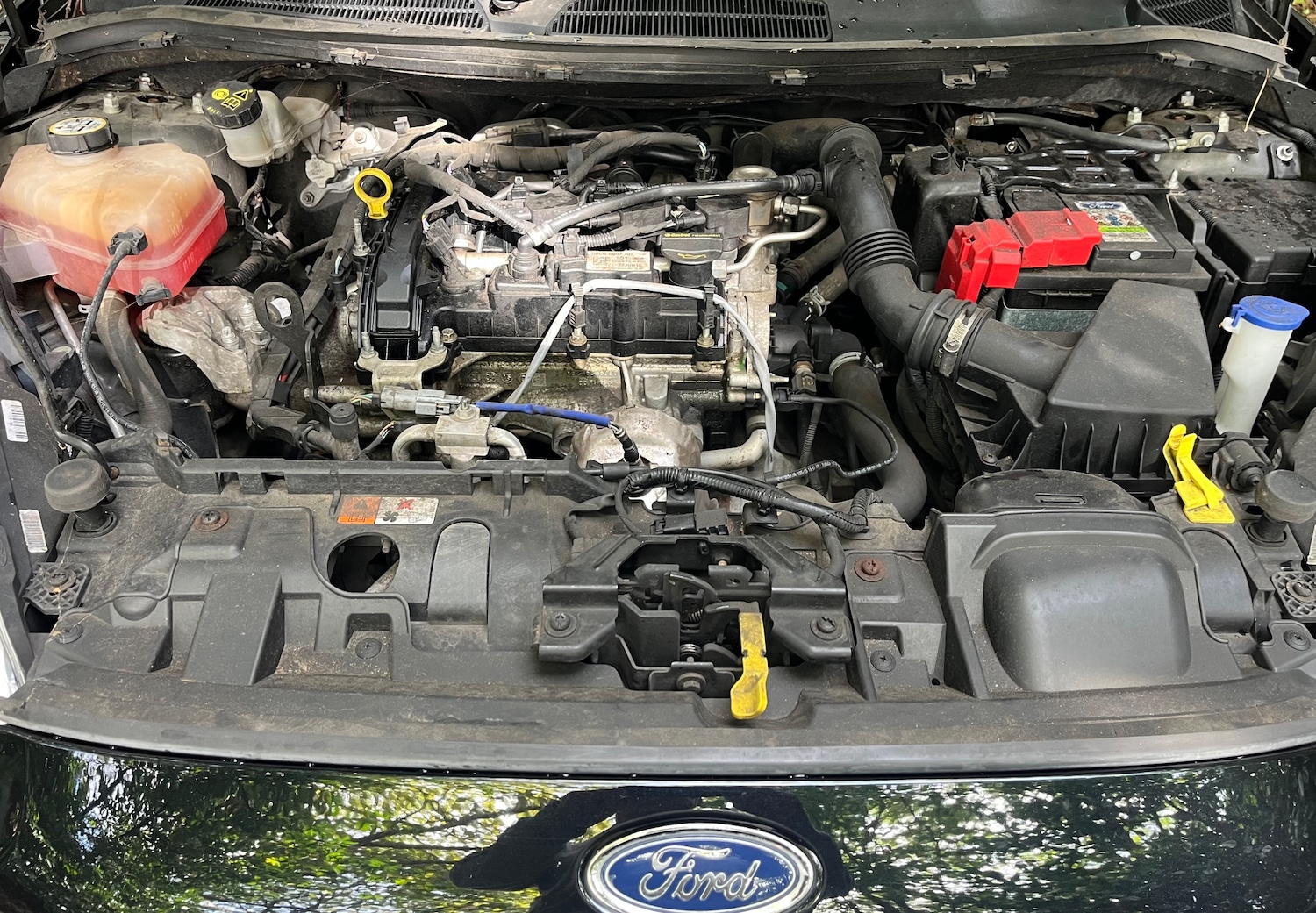 Used Ford Fiesta 2015 for sale - 77147922: Photo 10