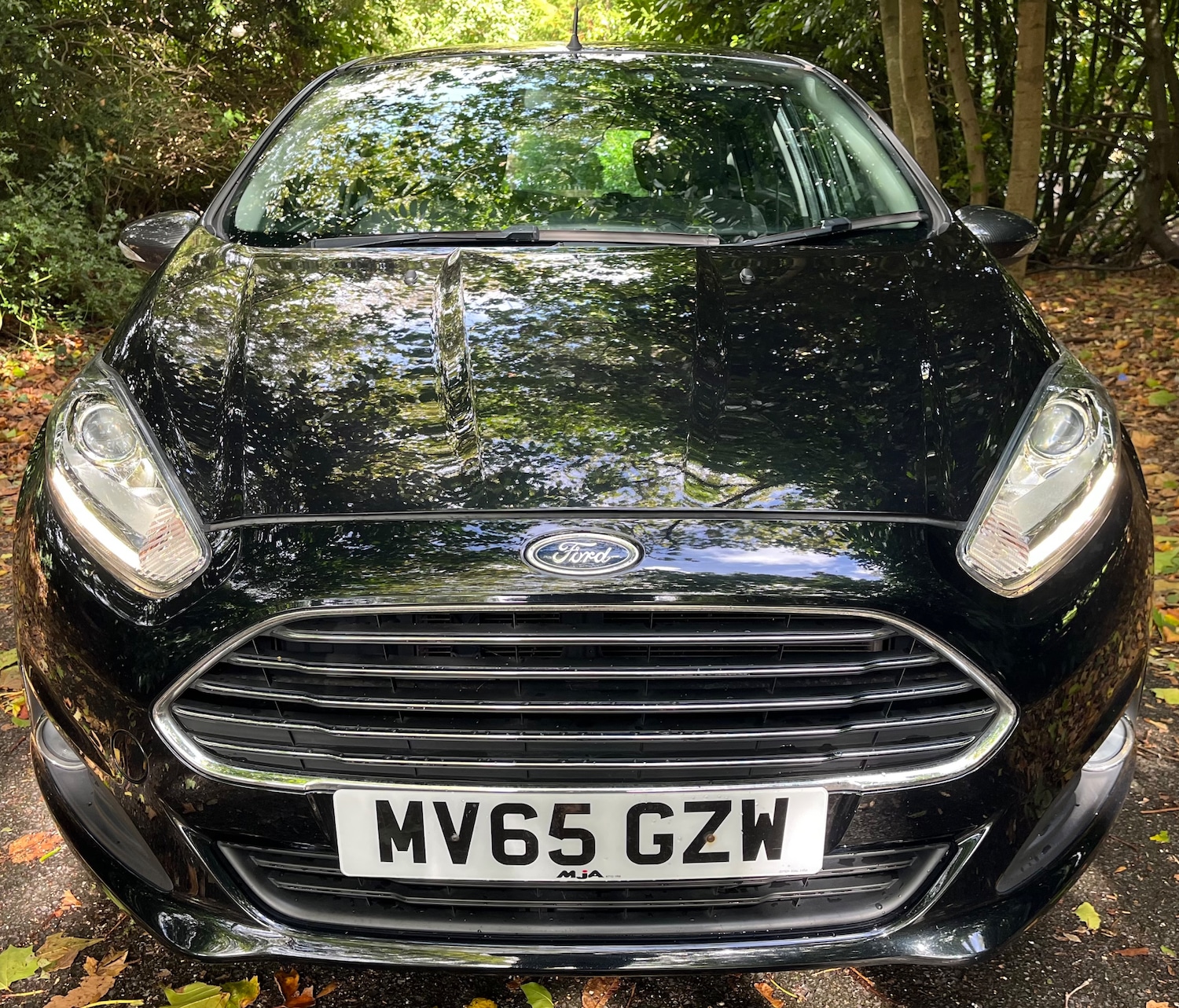 Used Ford Fiesta 2015 for sale - 77147922: Photo 9