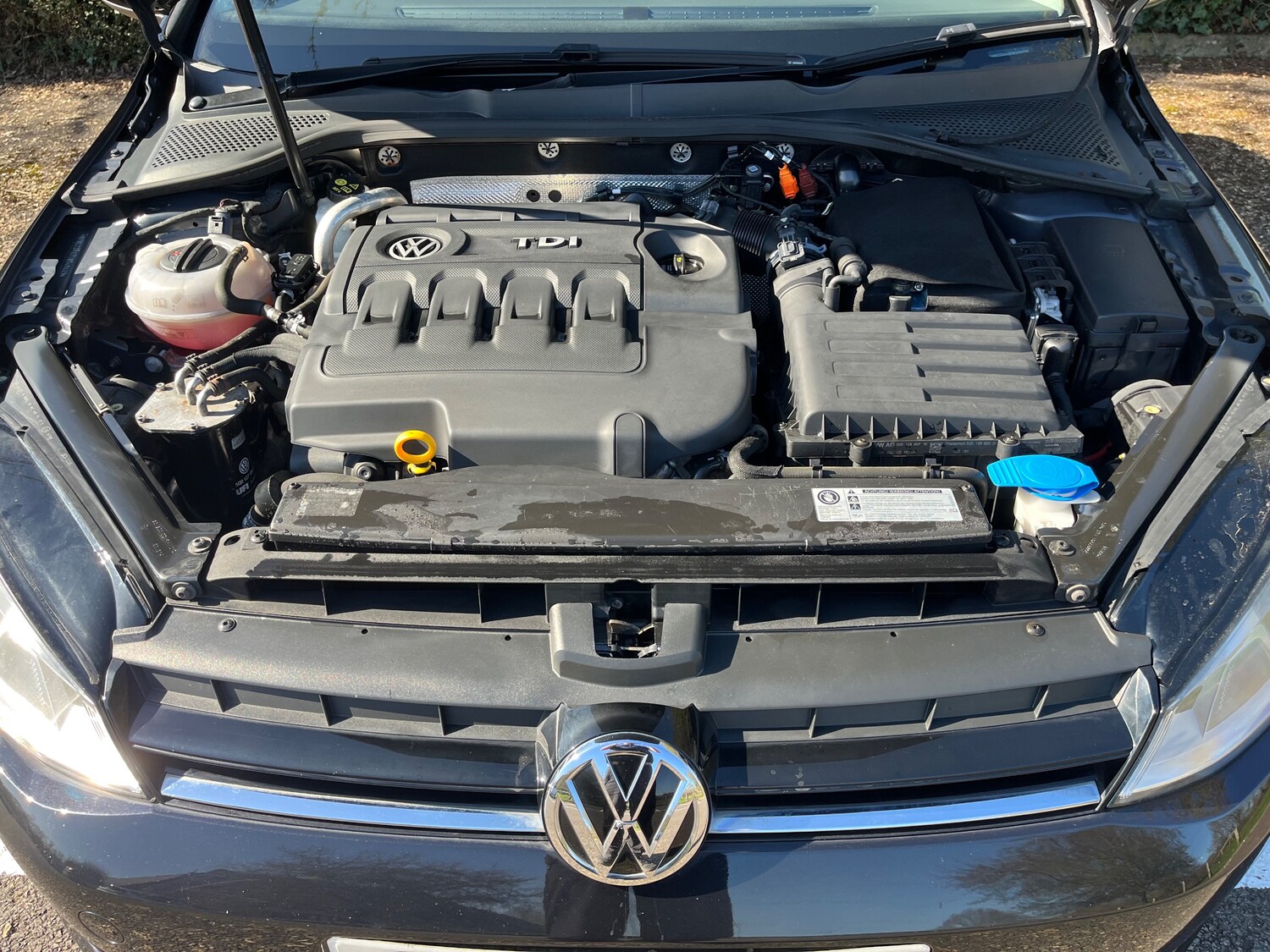 Used Volkswagen Golf 2014 for sale - 78218224: Photo 13