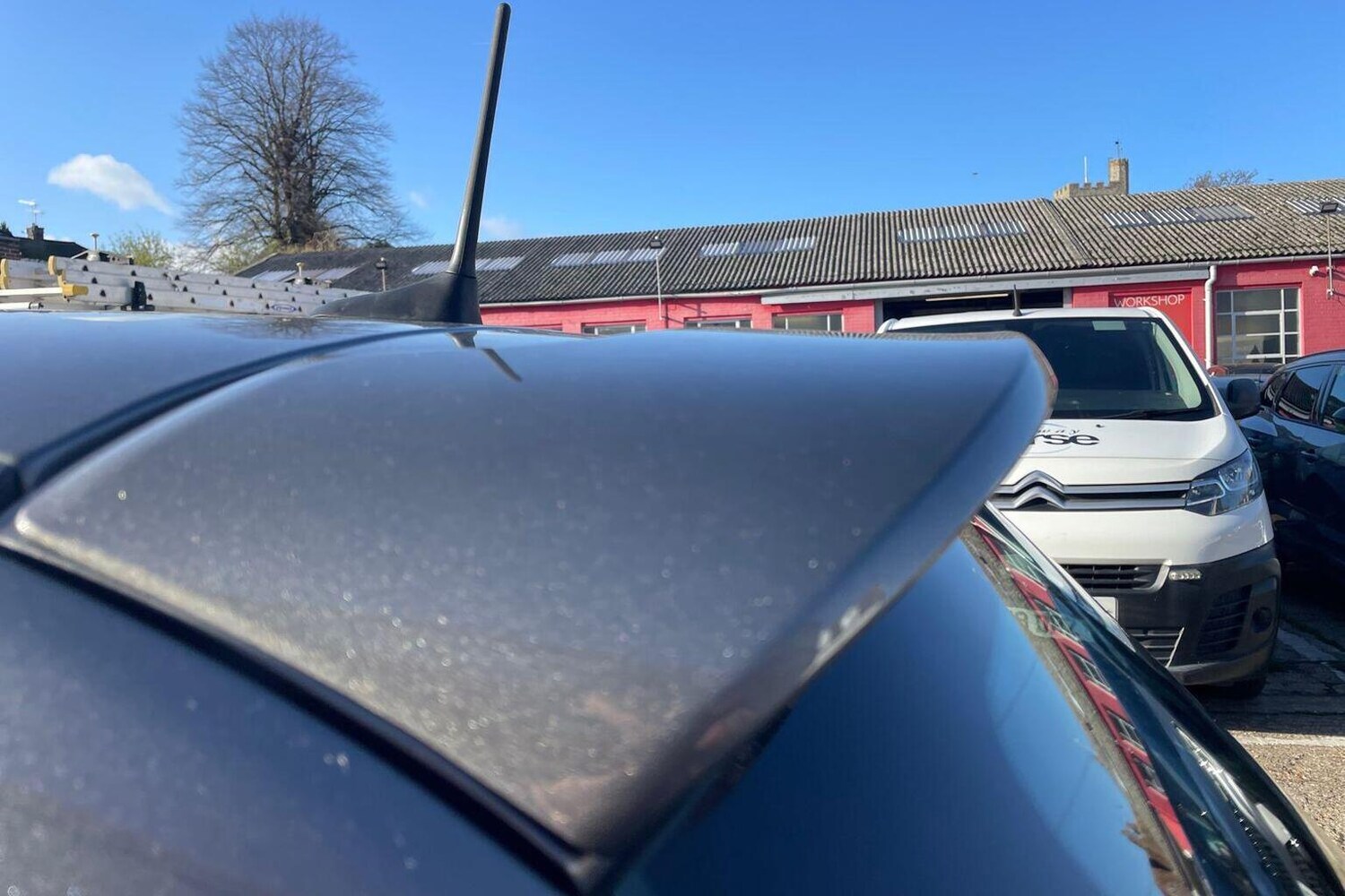 Used Fiat 500 2022 for sale - 76674385: Photo 19