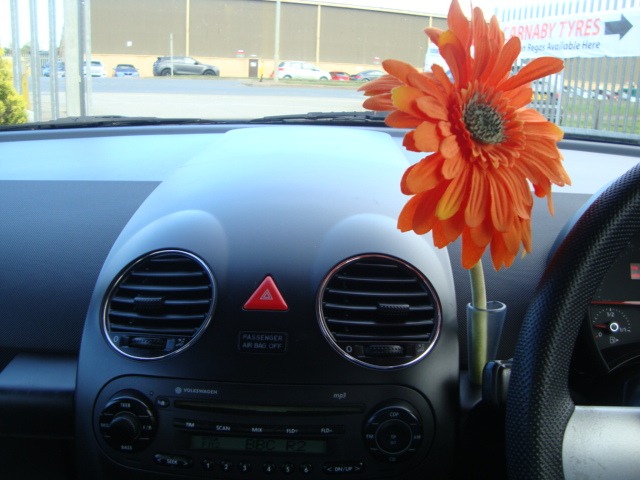 Used Volkswagen Beetle 2006 for sale - 76941920: Photo 19