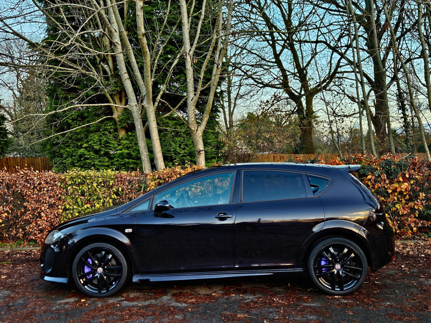 Used SEAT Leon 2009 for sale - 76672243: Photo 13