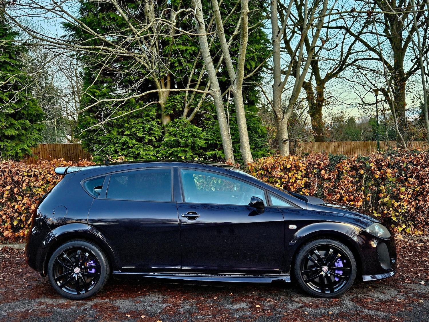 Used SEAT Leon 2009 for sale - 76672243: Photo 4