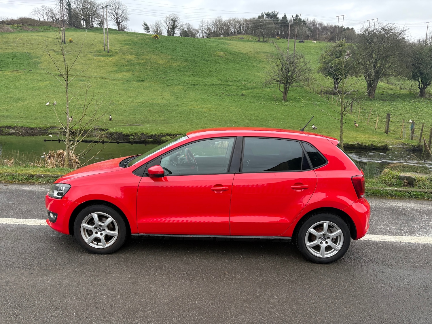 Used Volkswagen Polo 2011 for sale - 77735445: Photo 4