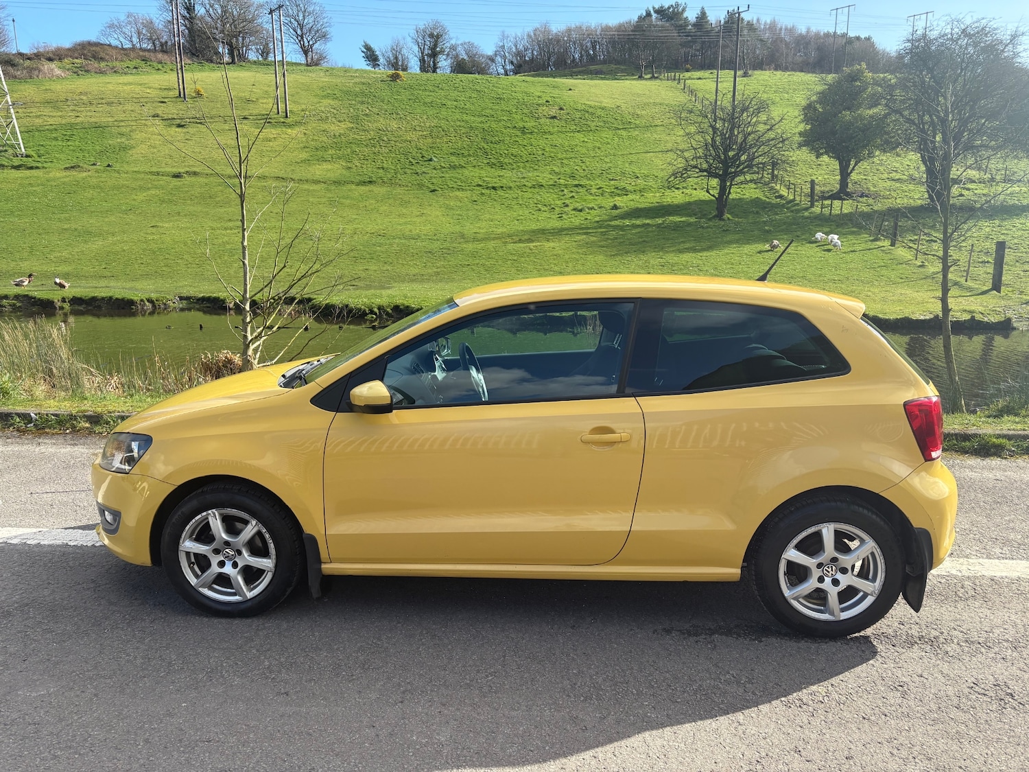 Used Volkswagen Polo 2010 for sale - 77702653: Photo 3