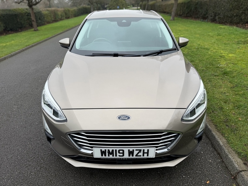 Used Ford Focus for sale - 77502675: Photo 12