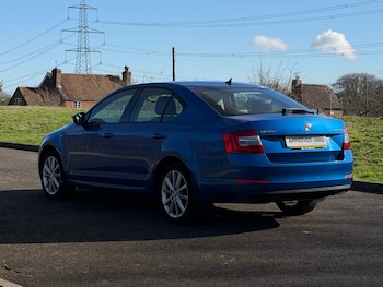 Used Skoda Octavia 2014 for sale - 79614657: Photo