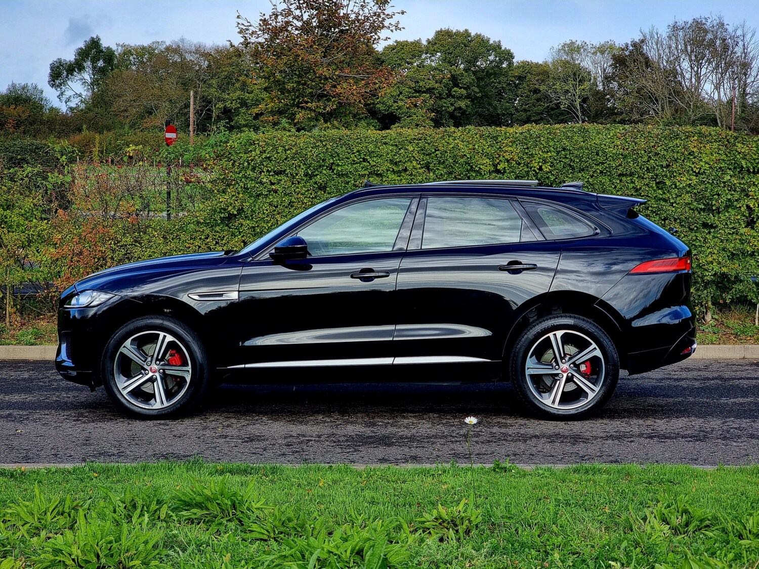 Used Jaguar F-Pace 2017 for sale - 77984140: Photo 3