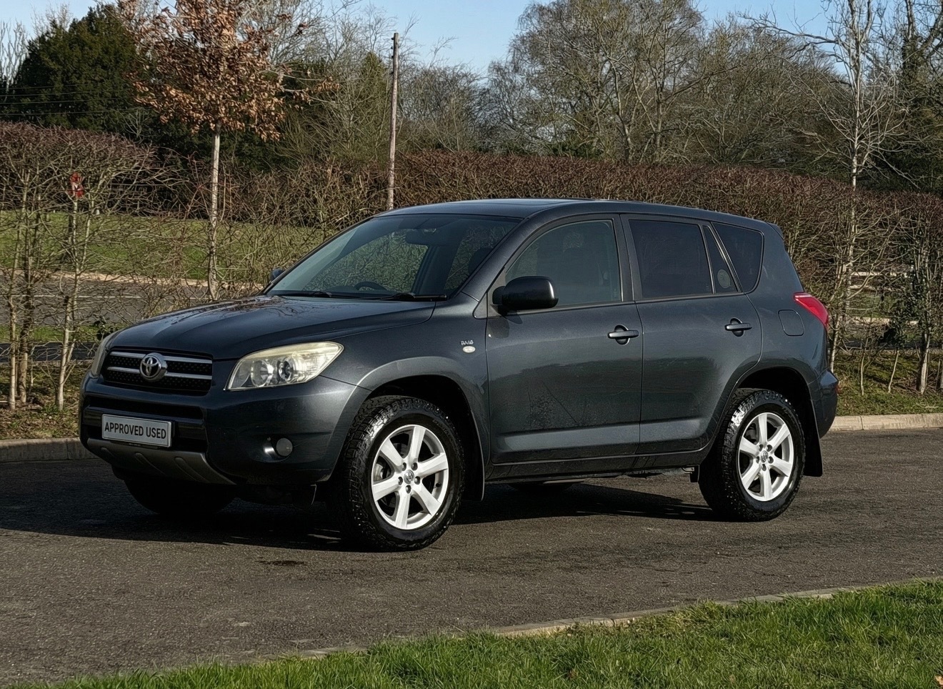 Used Toyota RAV4 2009 for sale - 77578949: Photo 3