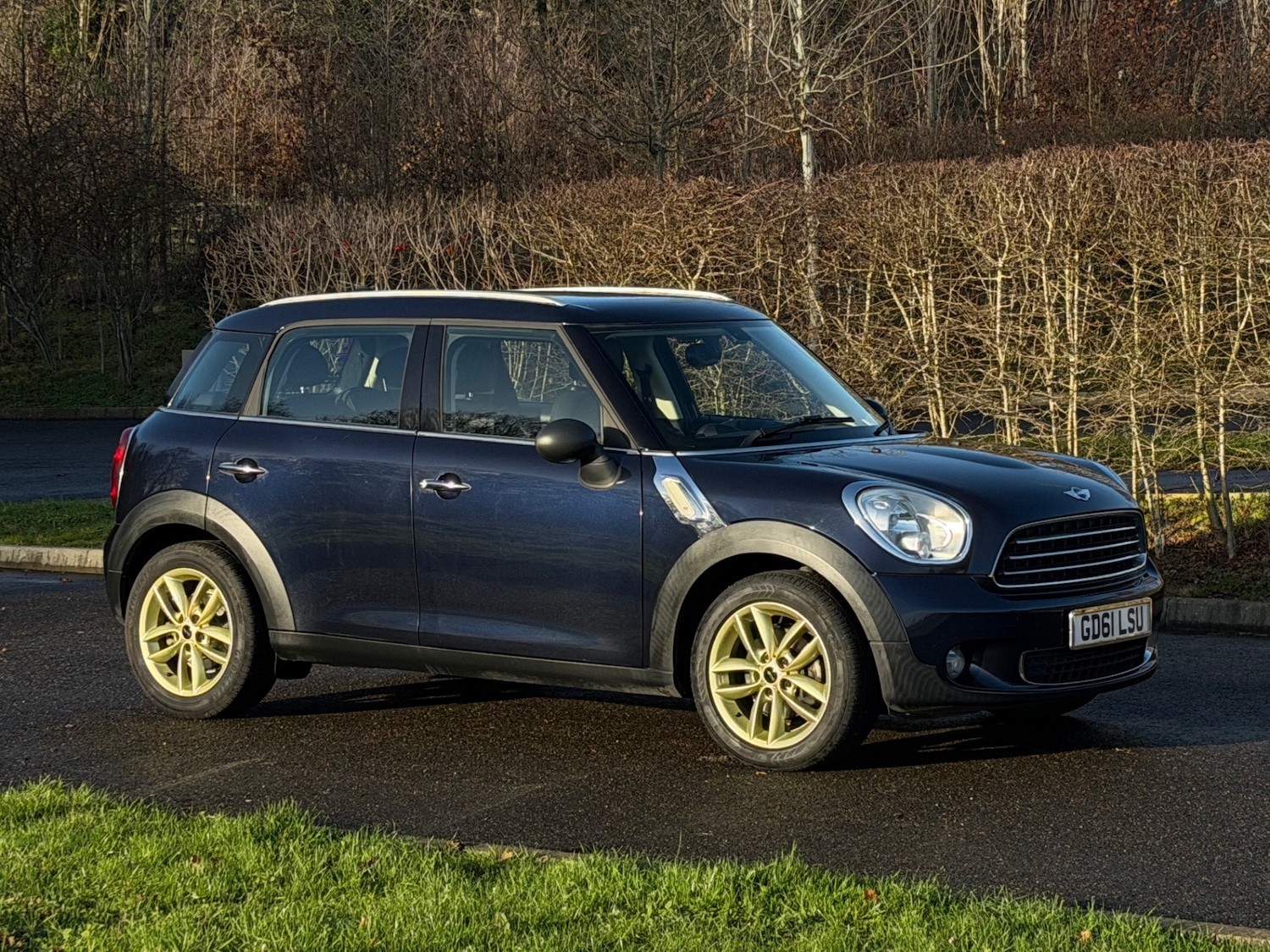 Used MINI Countryman 2011 for sale - 76893227: Photo 1