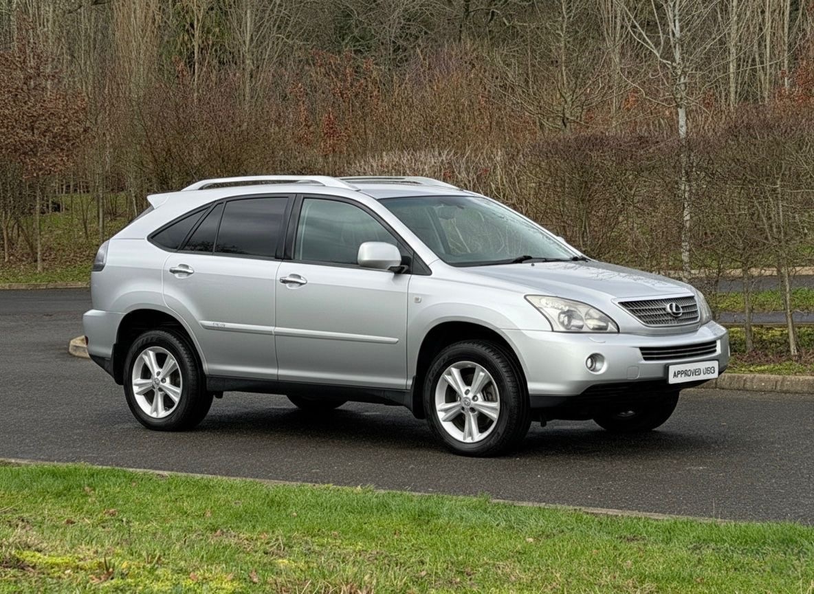 Used Lexus RX 2009 for sale - 77531966: Photo 1