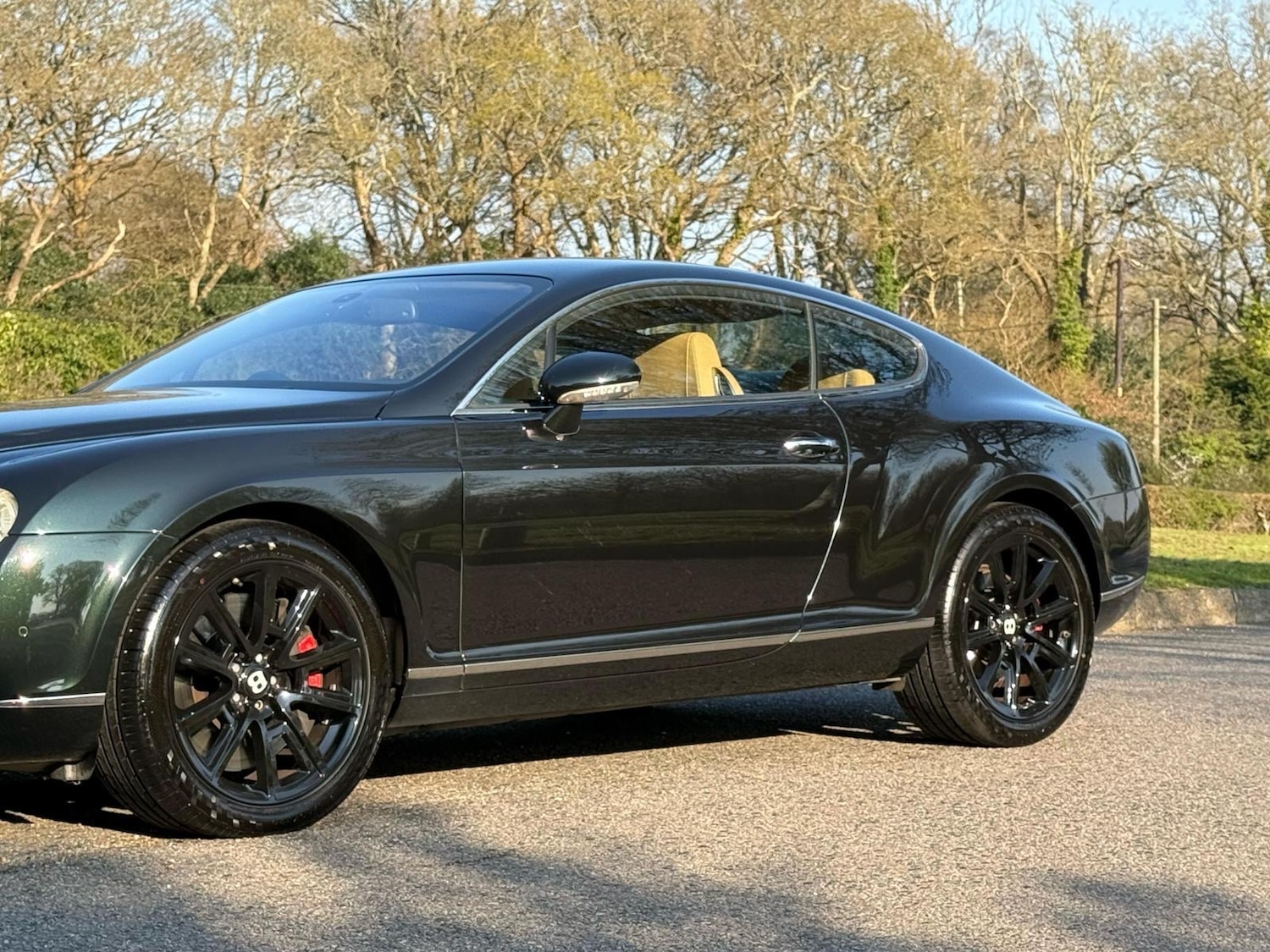 Used Bentley Continental 2005 for sale - 77541543: Photo 19