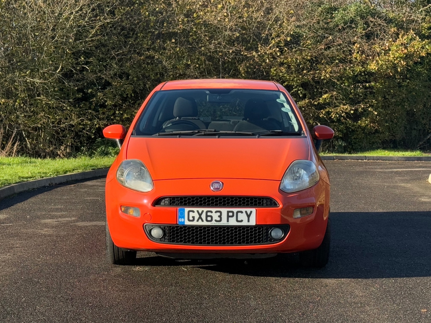 Used Fiat Punto 2013 for sale - 76671021: Photo 2