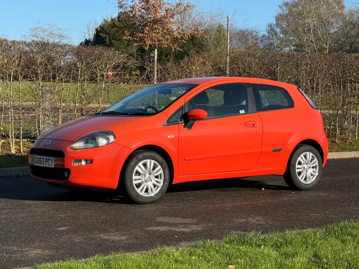 Used Fiat Punto 2013 for sale - 76671021: Photo 3