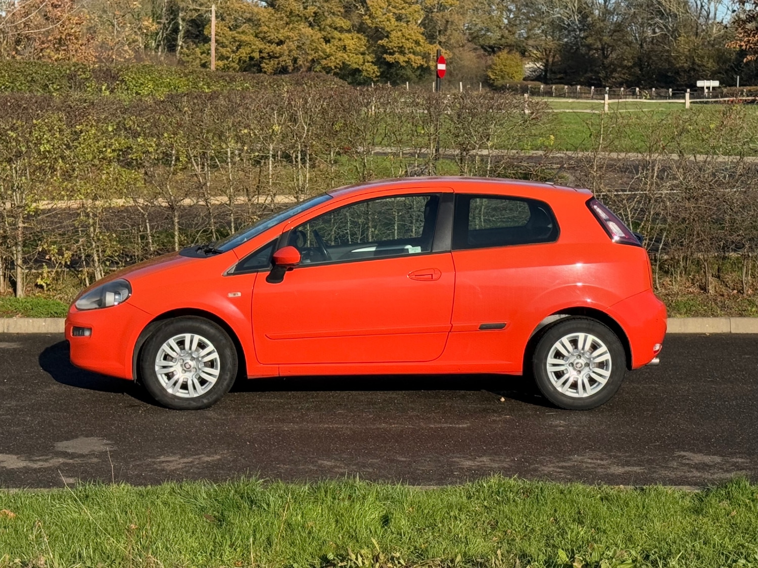 Used Fiat Punto 2013 for sale - 76671021: Photo 4