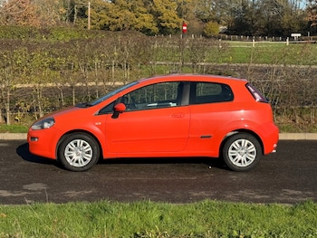 Used Fiat Punto 2013 for sale - 76671021: Photo