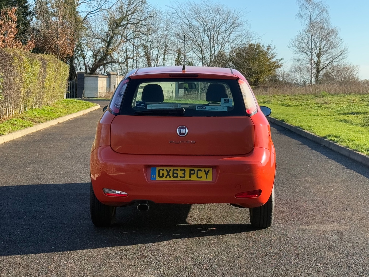 Used Fiat Punto 2013 for sale - 76671021: Photo 6