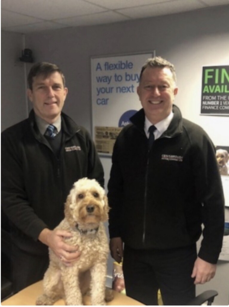 Used Ford Fusion 2010 for sale - 77690238: Photo 18