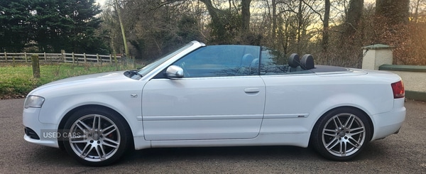 Used Audi A4 2008 for sale - 78059221: Photo 6