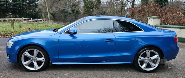 Used Audi A5 2008 for sale - 77638004: Photo 6