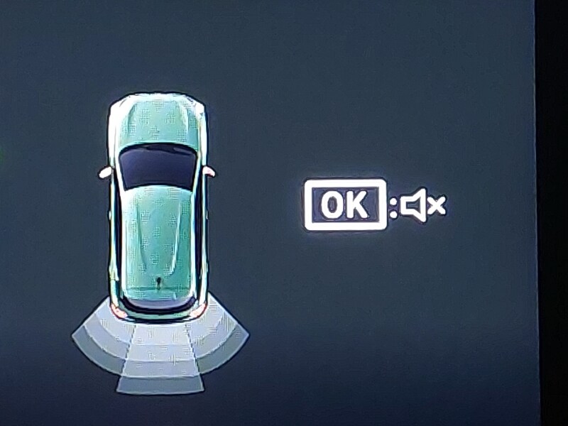 Used Dacia Spring 2026 for sale - 77585239: Photo 10