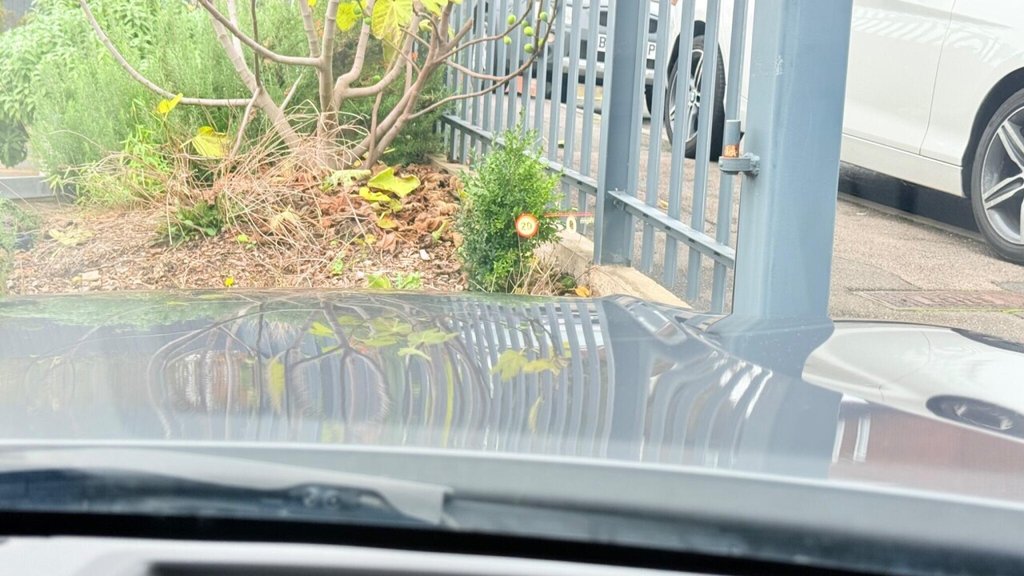 Used BMW 3 Series 2022 for sale - 76482155: Photo 5