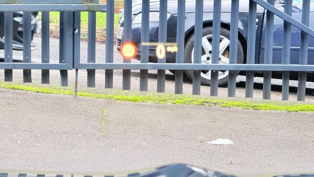 Used BMW iX3 2021 for sale - 77139811: Photo 21