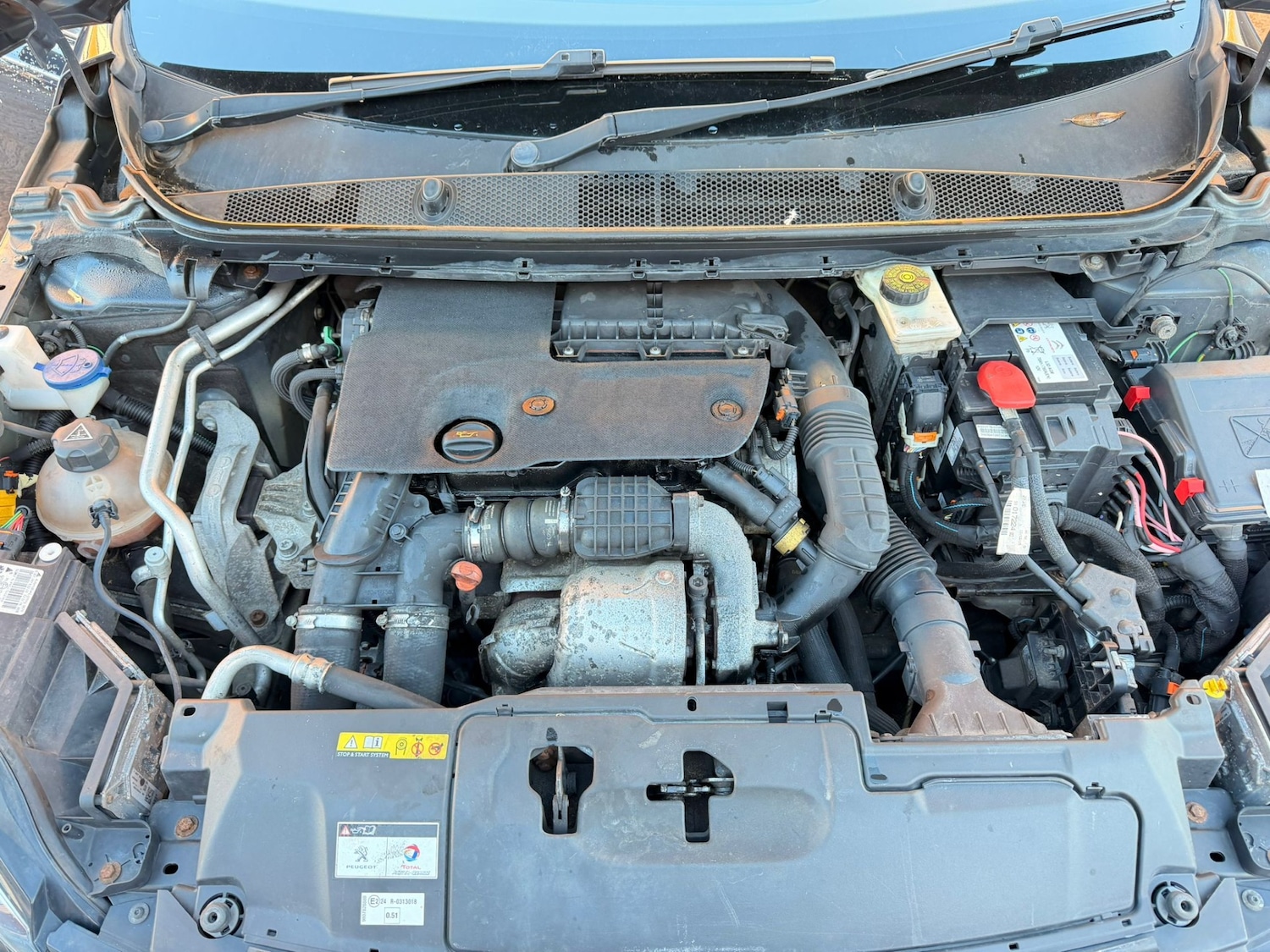 Used Peugeot 308 2016 for sale - 77989173: Photo 13