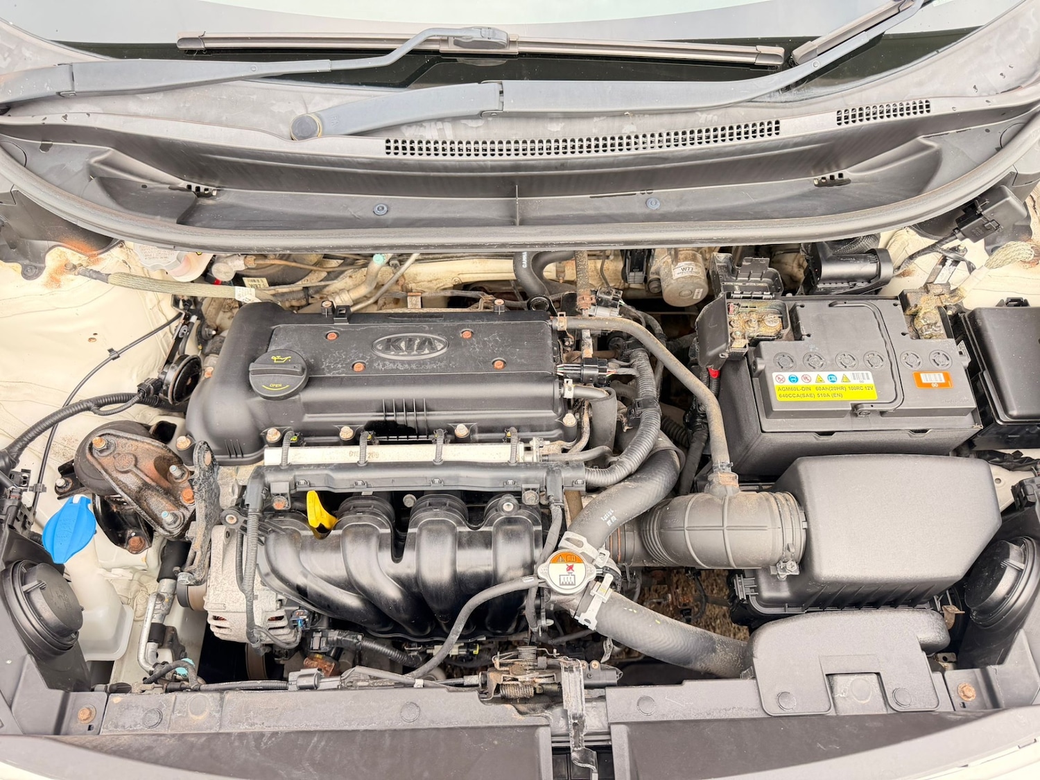 Used Kia Rio 2016 for sale - 76791498: Photo 18