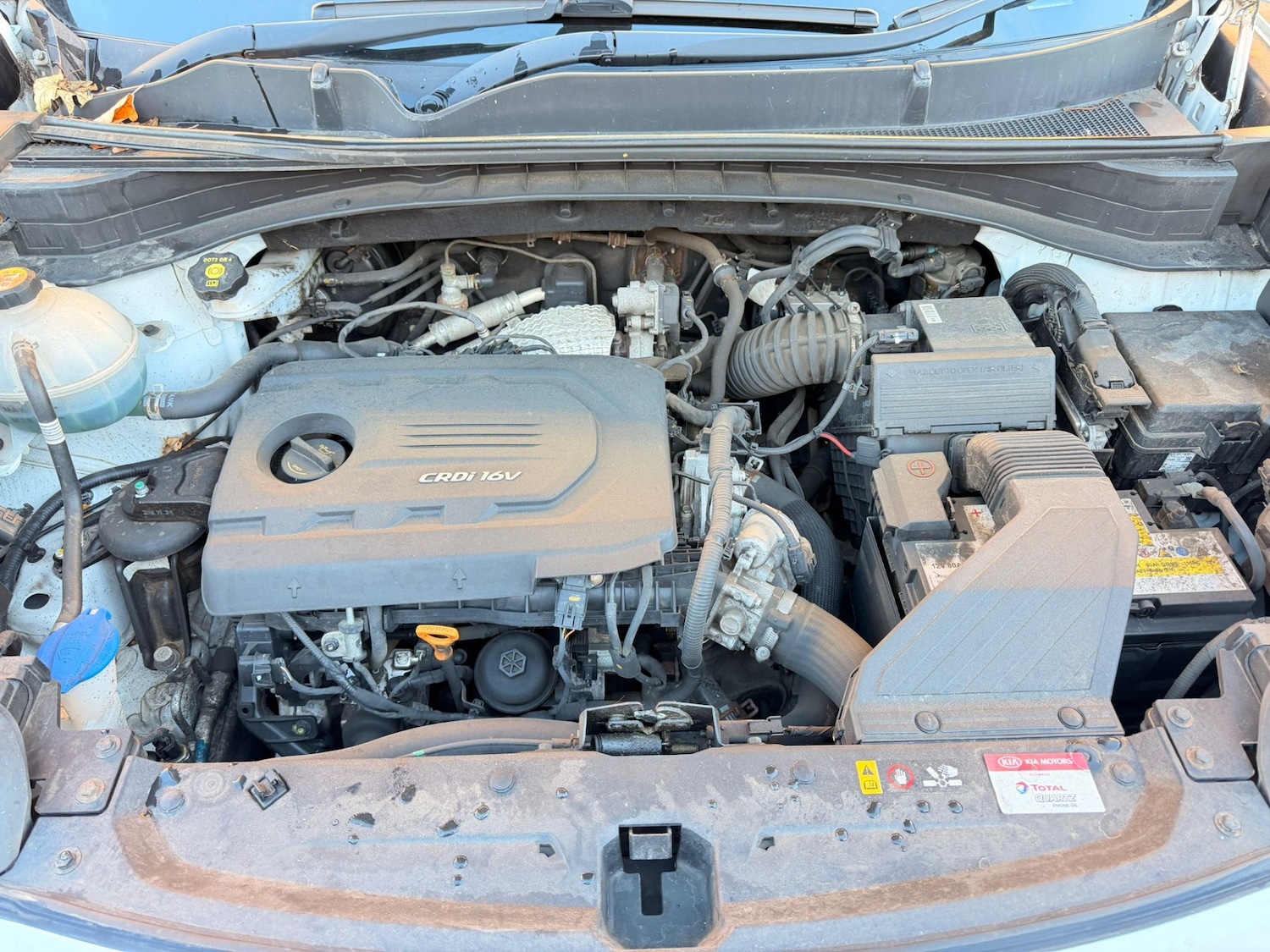 Used Kia Sportage 2017 for sale - 76791351: Photo 14