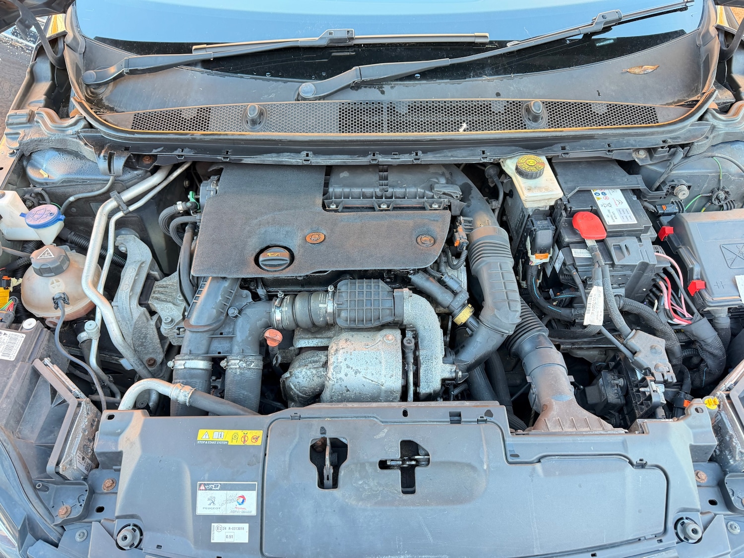 Used Peugeot 308 2016 for sale - 76650677: Photo 14