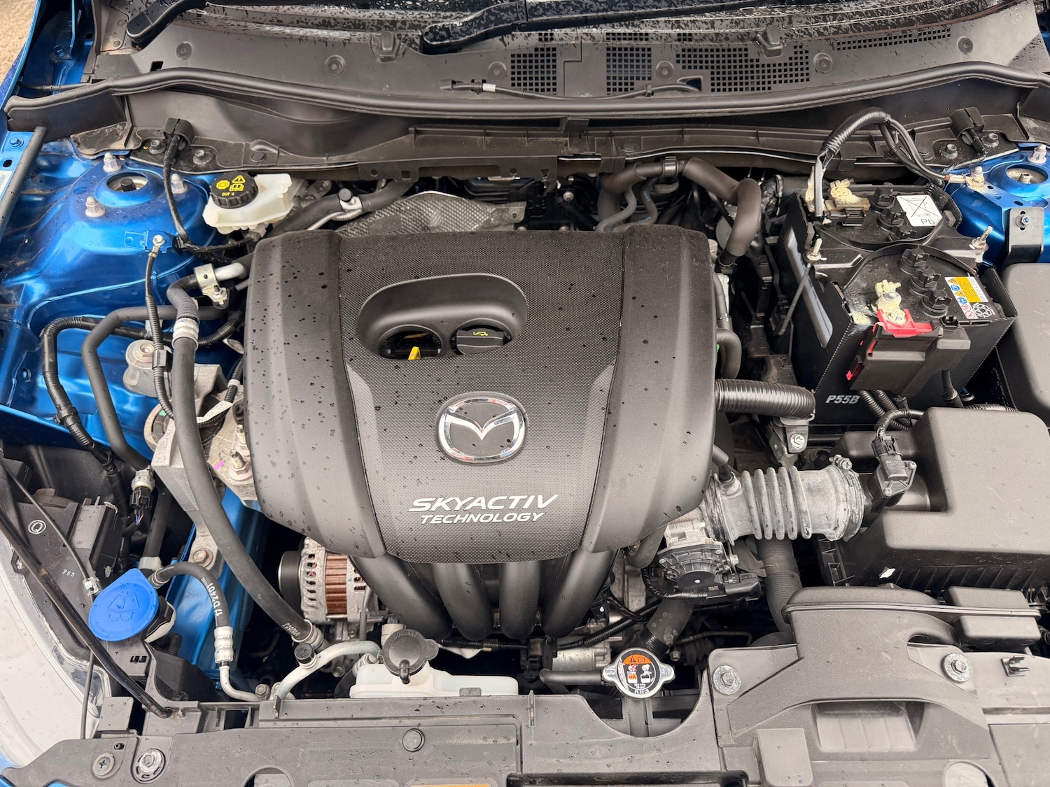 Used Mazda Mazda2 2017 for sale - 77998471: Photo 14