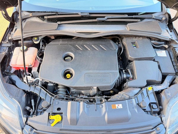 Used Ford Focus 2013 for sale - 76200549: Photo 13