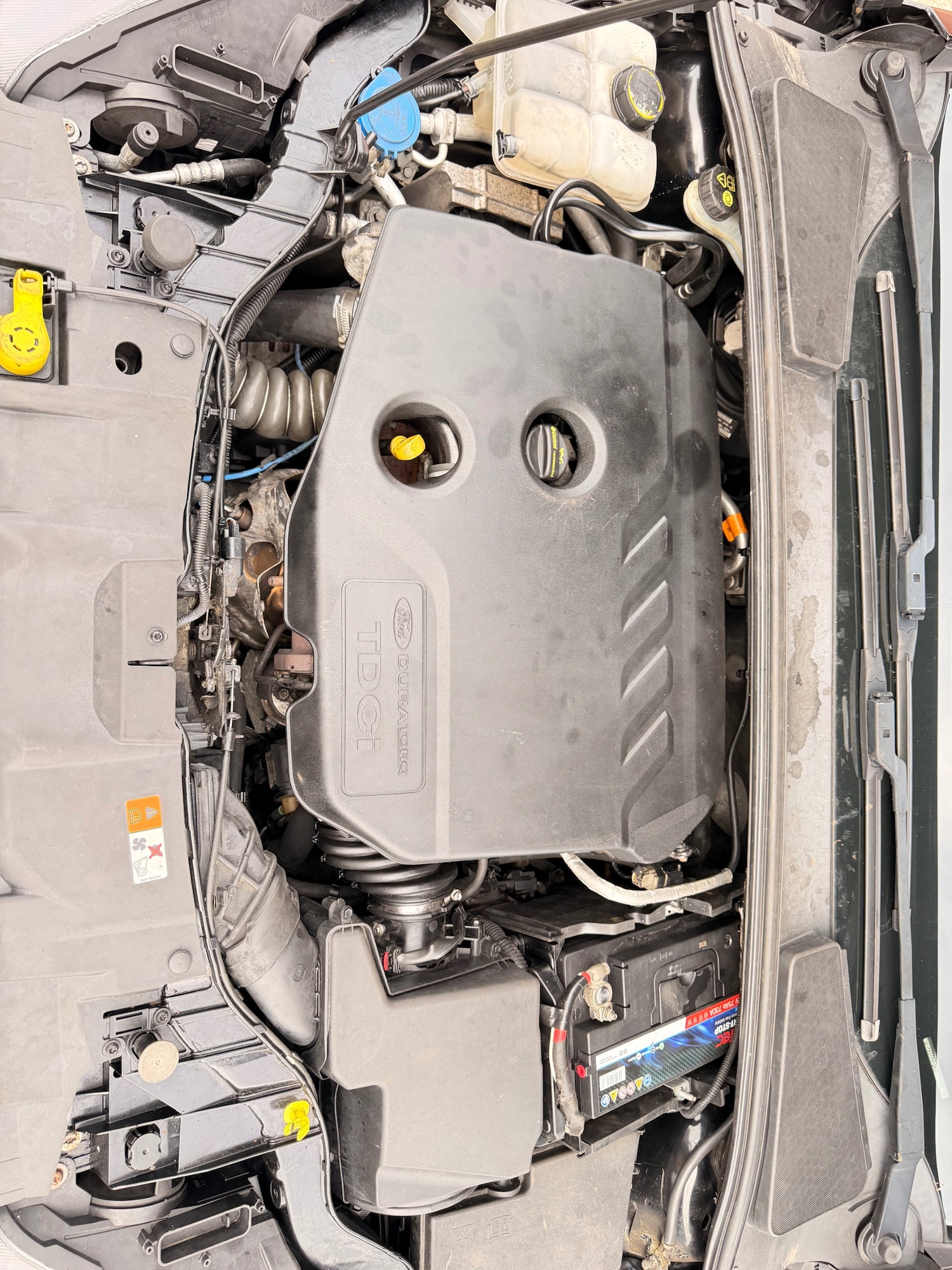 Used Ford Focus 2015 for sale - 76431757: Photo 13