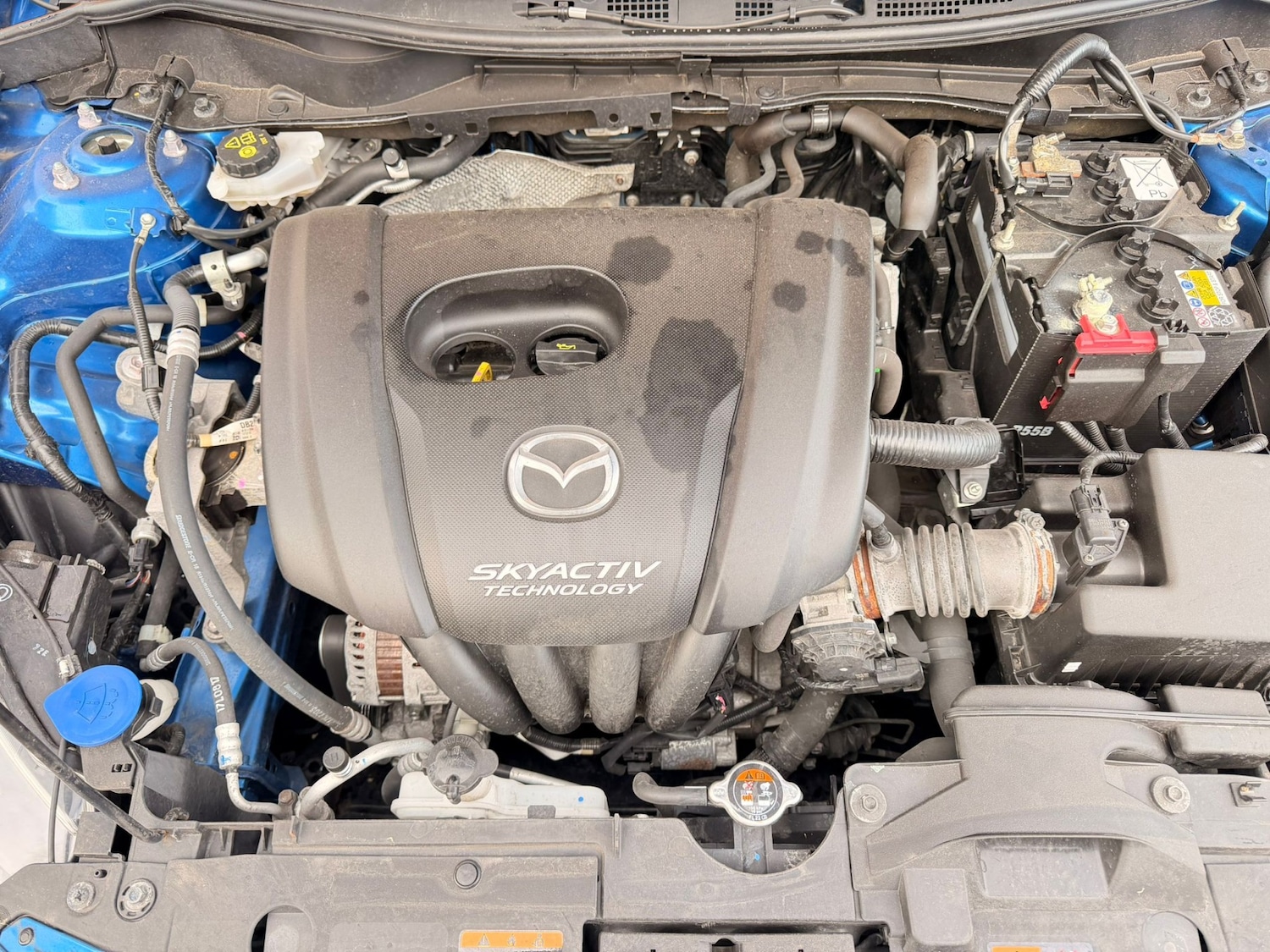 Used Mazda Mazda2 2018 for sale - 77989377: Photo 15