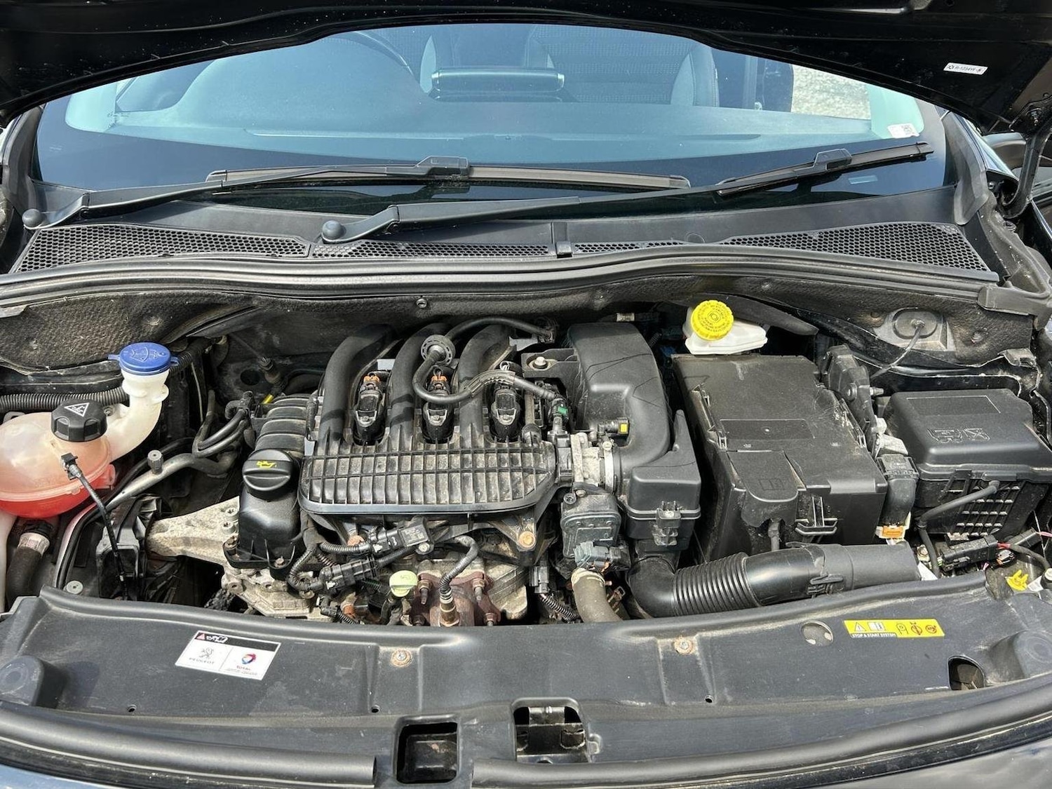 Vehicle 24