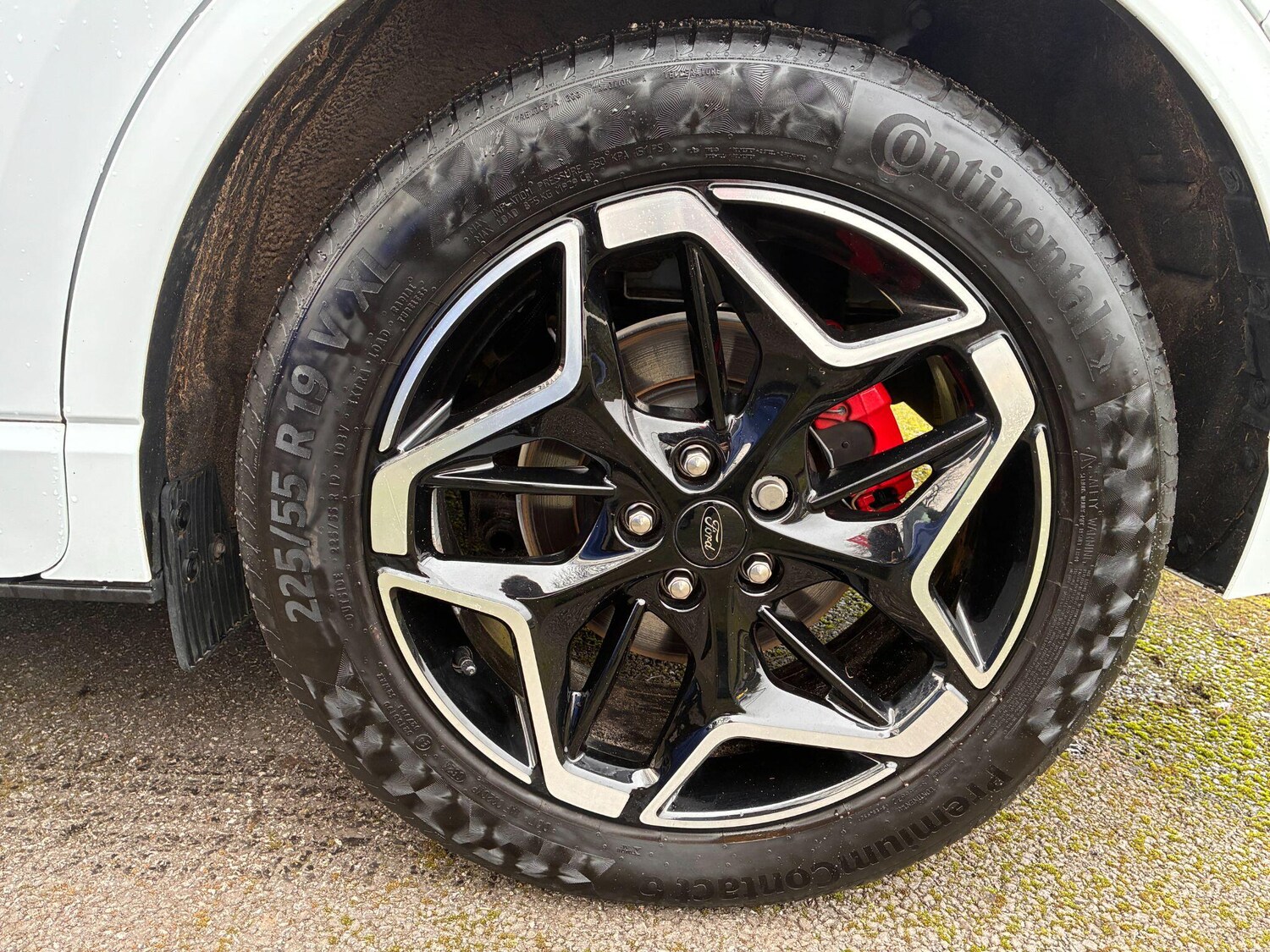 Used Ford Kuga 2024 for sale - 78101321: Photo 10