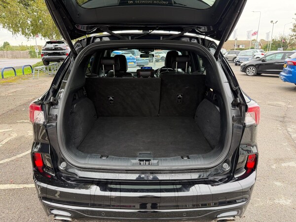 Used Ford Kuga 2022 for sale - 76200462: Photo 10