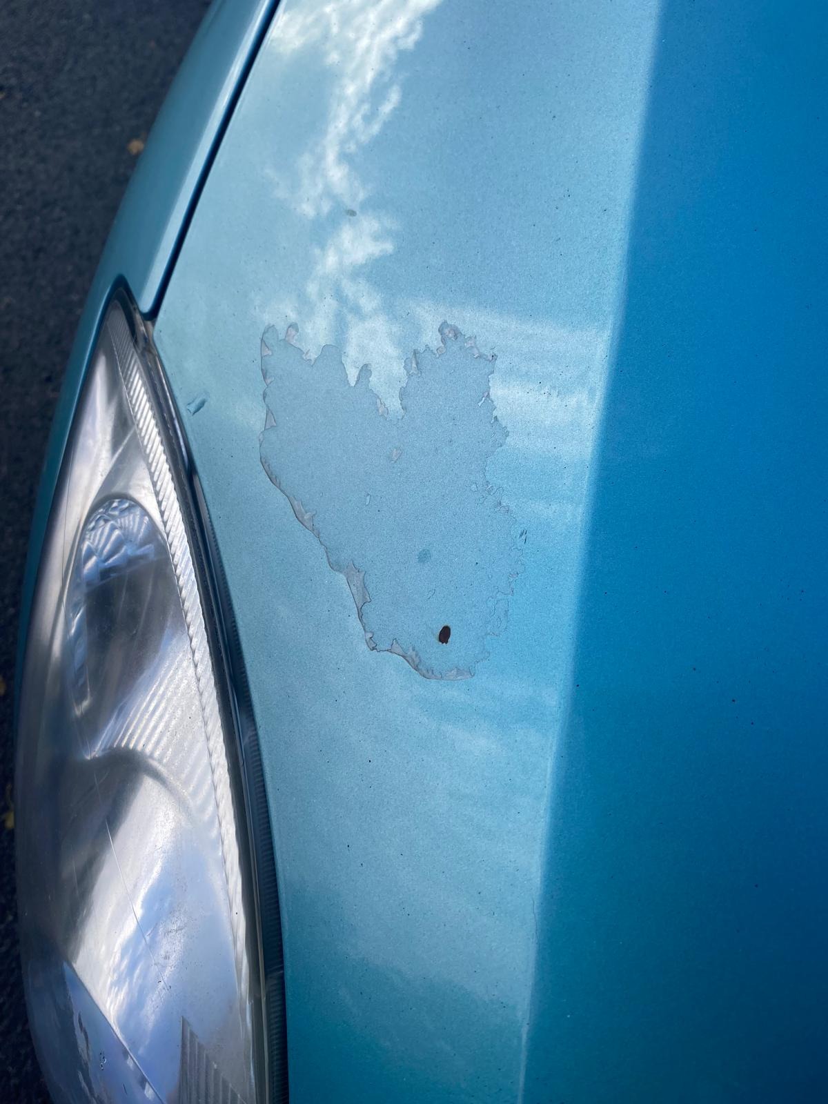 Used Suzuki Swift 2010 for sale - 76614806: Photo 5