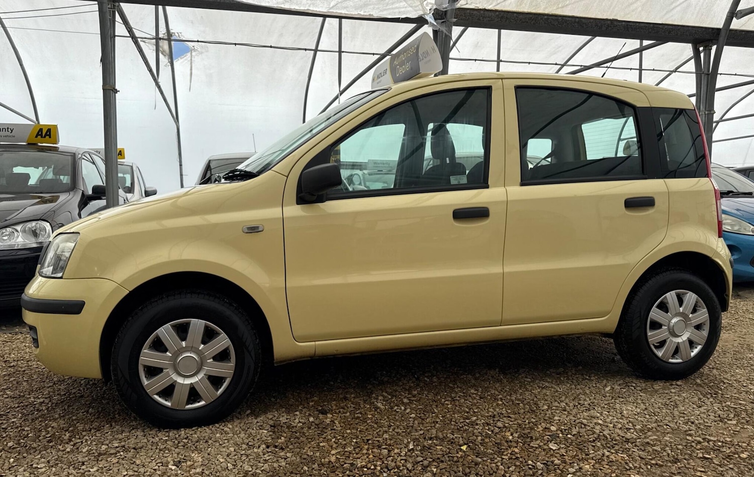 Used Fiat Panda for sale - 78128024: Photo 36